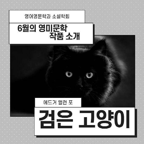 2023년 6월 소설학회의 '검은 고양이'  소개 대표이미지