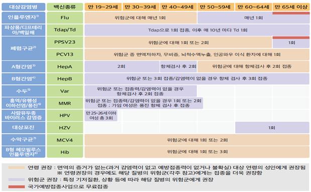 예방접종 일정표 성인