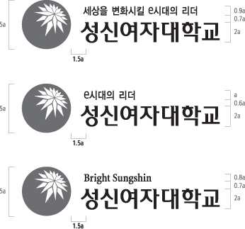 세상을 변화시킬 e시대의 리더 성신여자대학교,e시대의 리더 성신여자대학교,Bright Sungshin 성신여자대학교