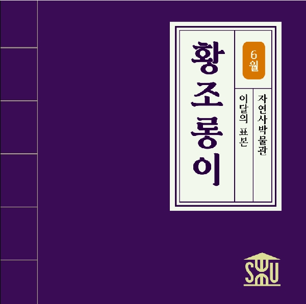 6월의 자연사 표본_황조롱이 대표이미지