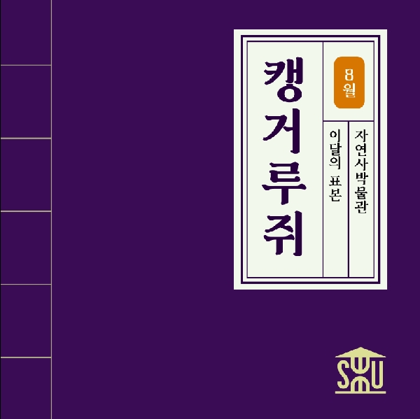 8월 자연사 표본_캥거루쥐 대표이미지