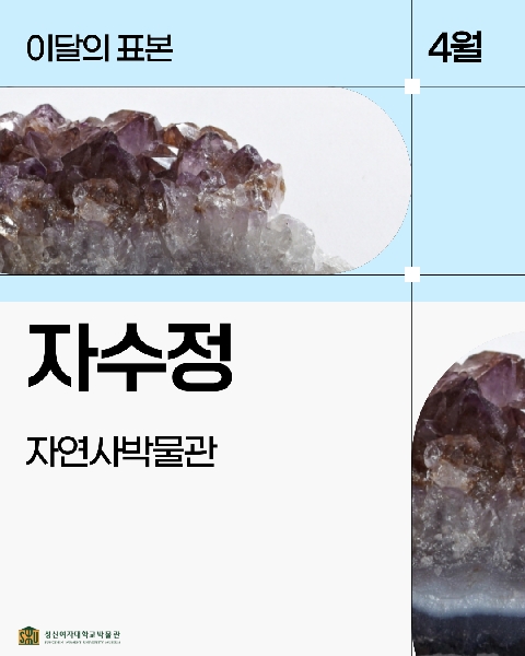 4월 자연사 표본_자수정 대표이미지