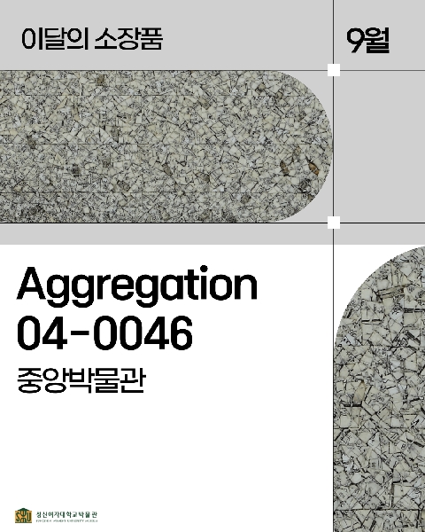 9월 중앙 소장품_Aggregation04-0046 대표이미지