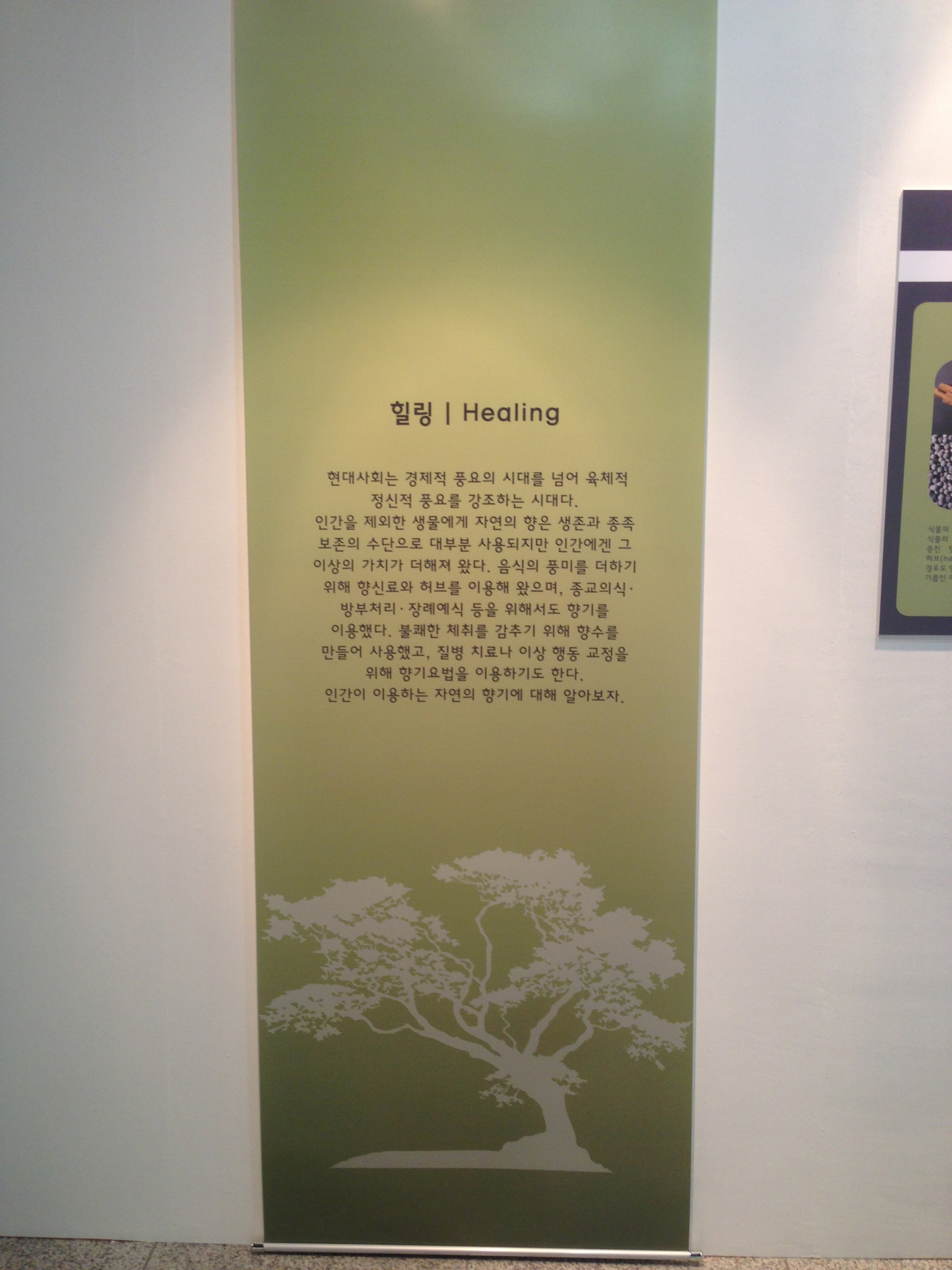 현대사회는 경제적 풍요의 시대를 넘어 육체적 ‧ 정신적 풍요를 강조하는 시대입니다. 인간을 제외한 생물에게 자연의 향은 생존과 종족 보존의 수단으로 대부분 사용되지만 인간에겐 그 이상의 가치가 더해져 왔습니다. 음식의 풍미를 더하기 위해 향신료와 허브를 이용해 왔으며, 종교의식, 방부처리, 장례예식 등을 위해서도 향기를 이용했습니다. 불쾌한 체취를 감추기 위해 향수를 만들어 사용했고, 질병 치료나 이상 행동 교정을 위해 향기요법을 이용하기도 합니다. 인간이 이용하는 자연의 향기에 대해 알아보고자 하였습니다. 