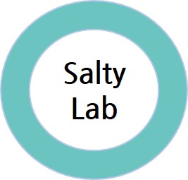 [2024 창업동아리] Salty Lab 대표이미지